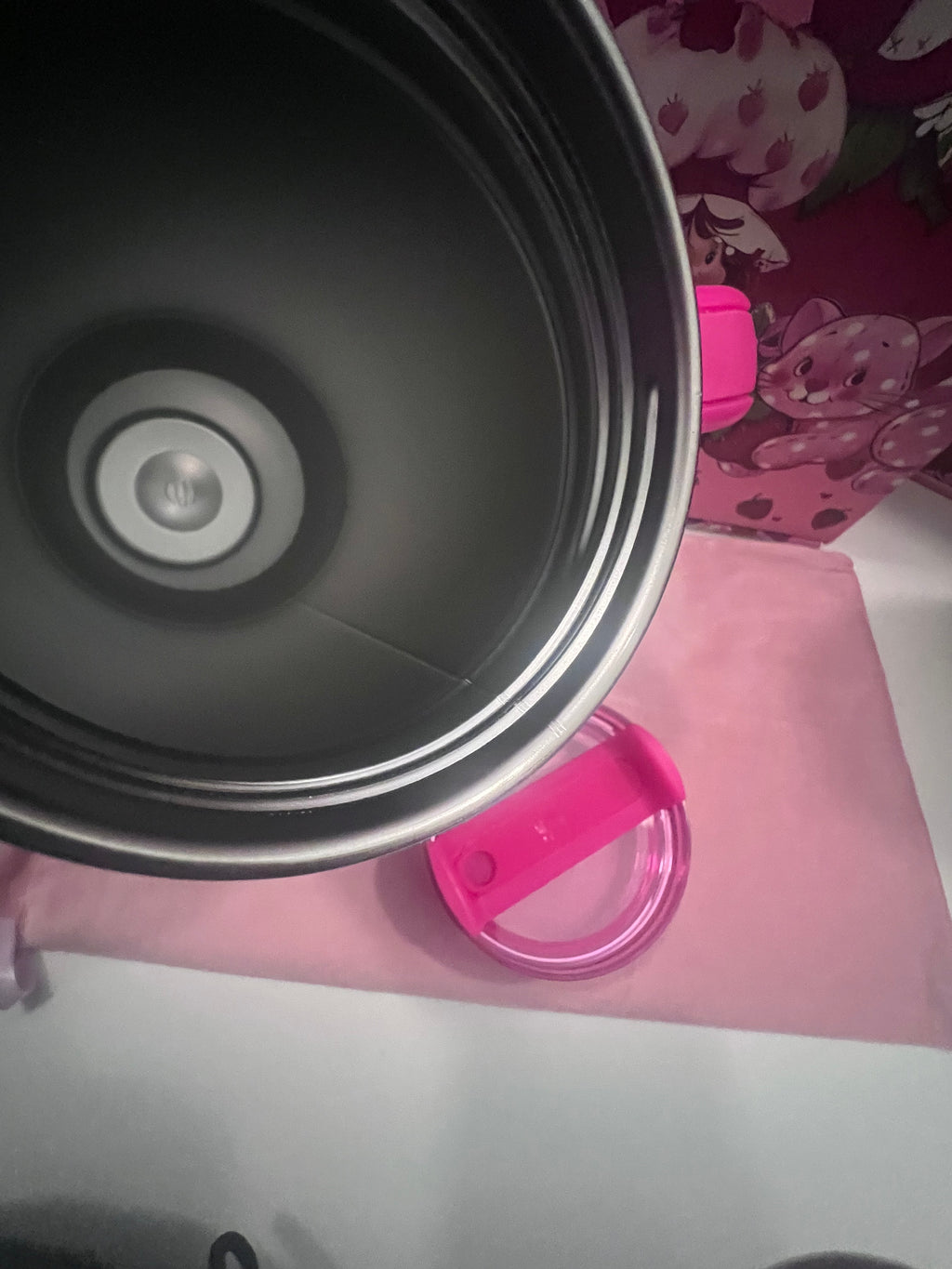 Stanley - Pink Dior